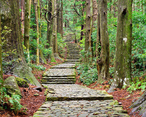 Camino de Kumano. Espiritualidad en el país del sol naciente ( Hasta Noviembre 2025 ) 